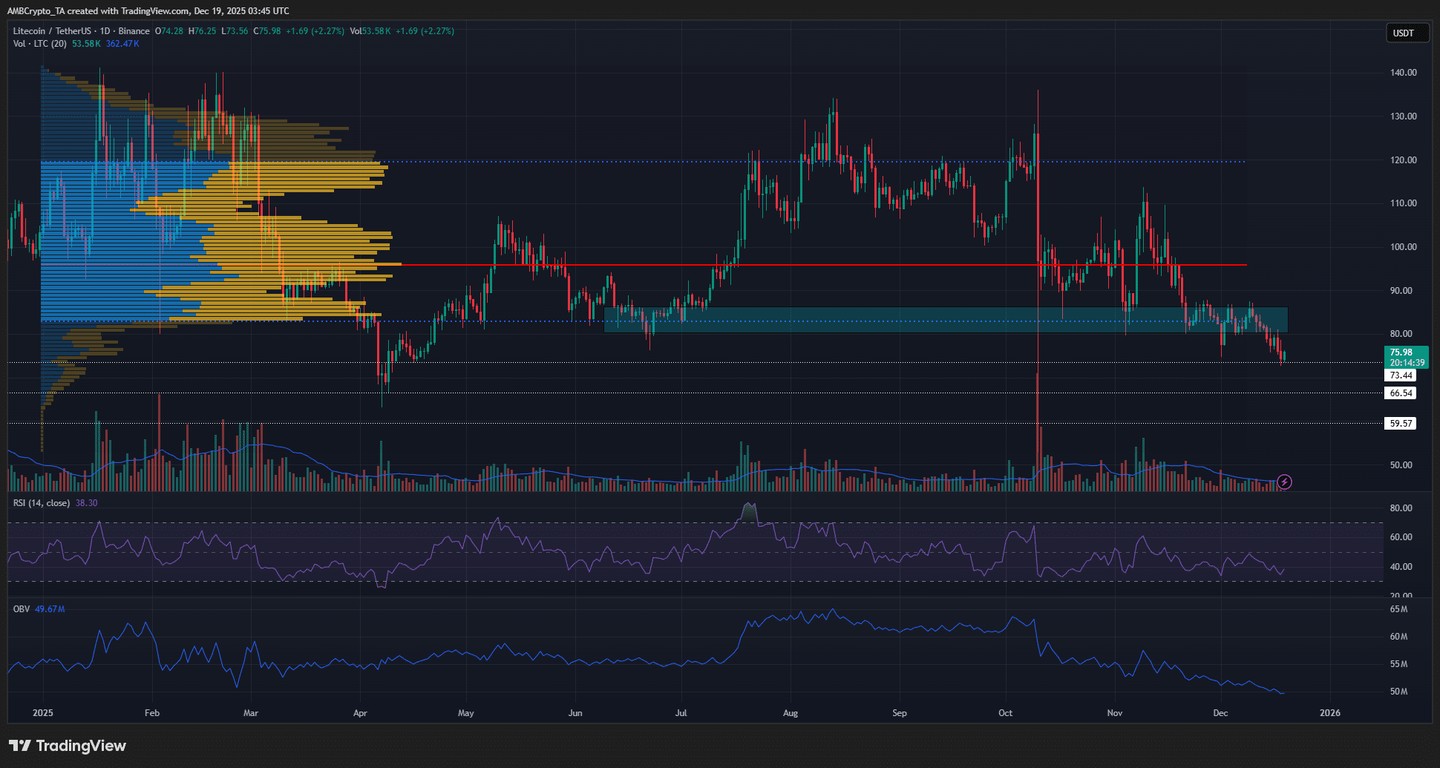 在萊特幣的80 美元支撐位失守後，其價格走勢將如何發展？