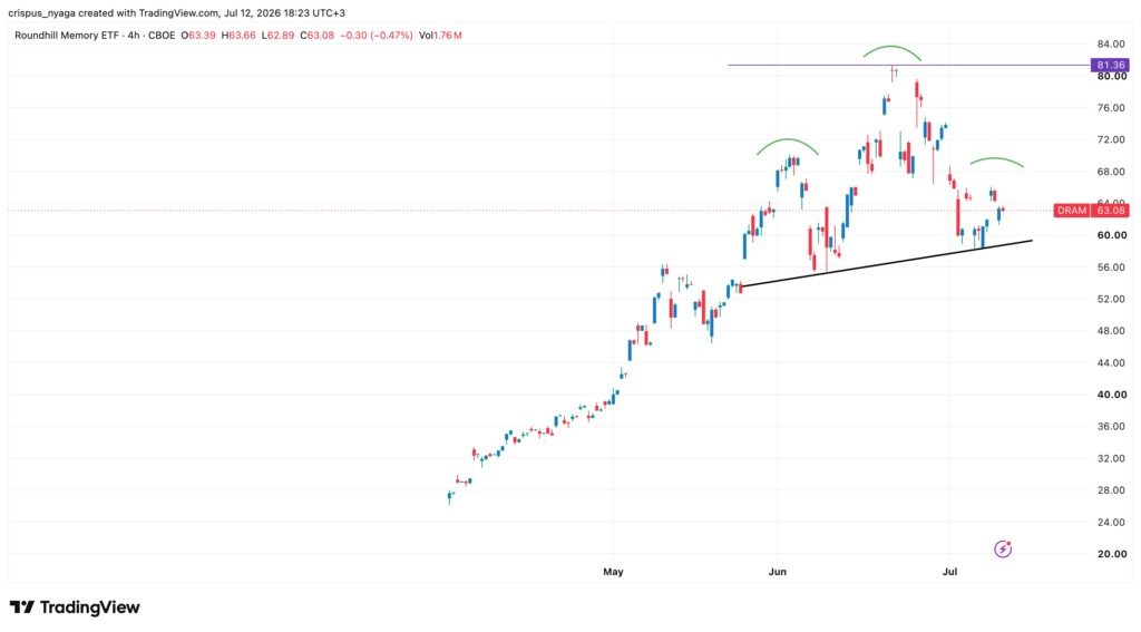 DRAM ETF