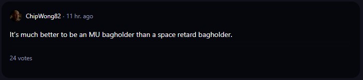 A comment on r/WallStreetBets subreddit.