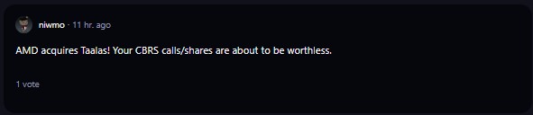 A comment on r/WallStreetBets subreddit. 