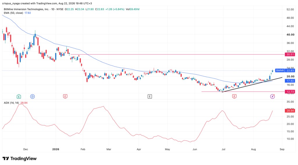 BitMine stock