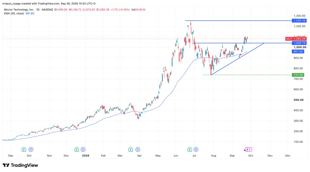 Micron stock