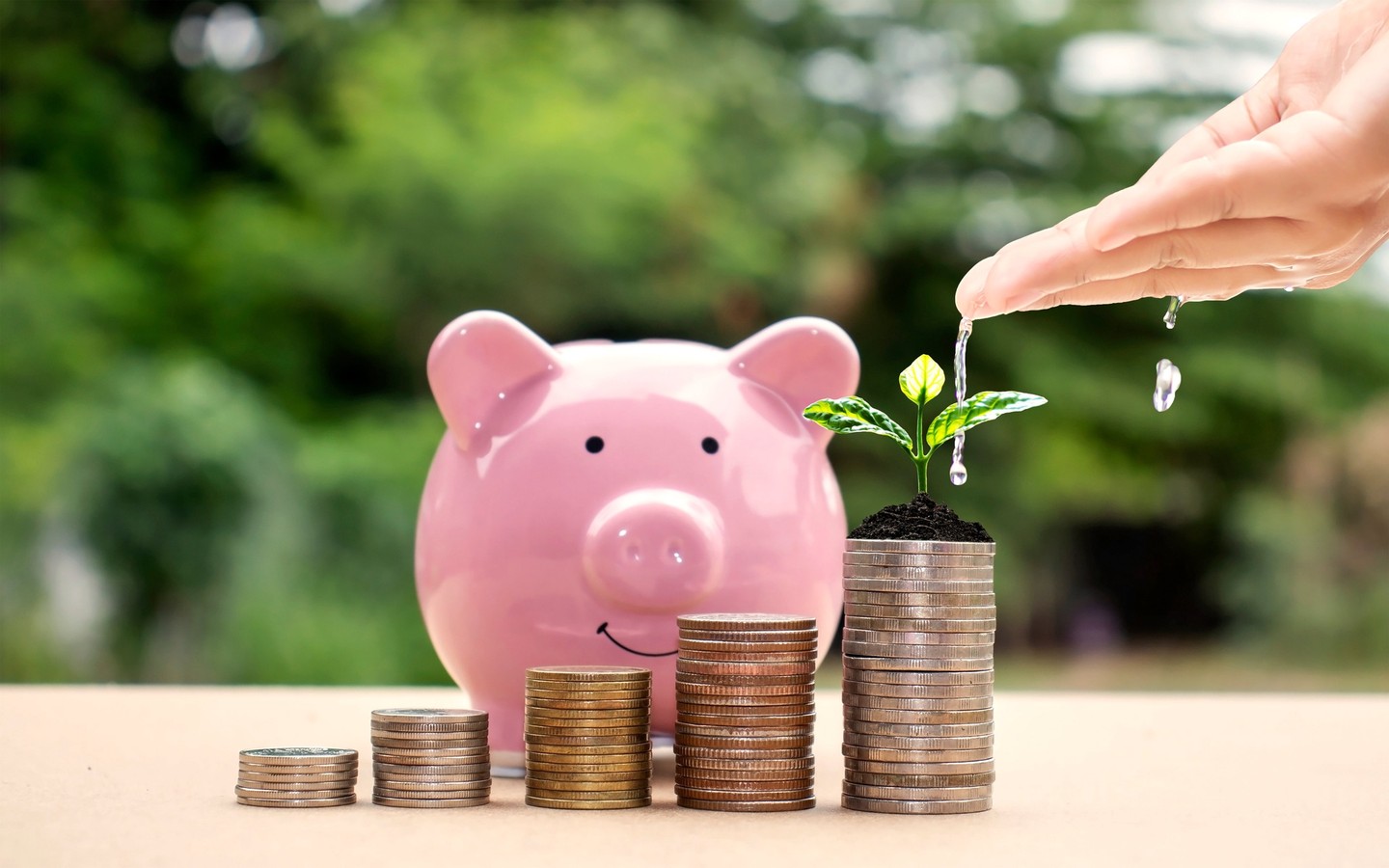Stacks of coins that increase in size, with a small green shoot coming out of one stack and a piggy bank in the background.