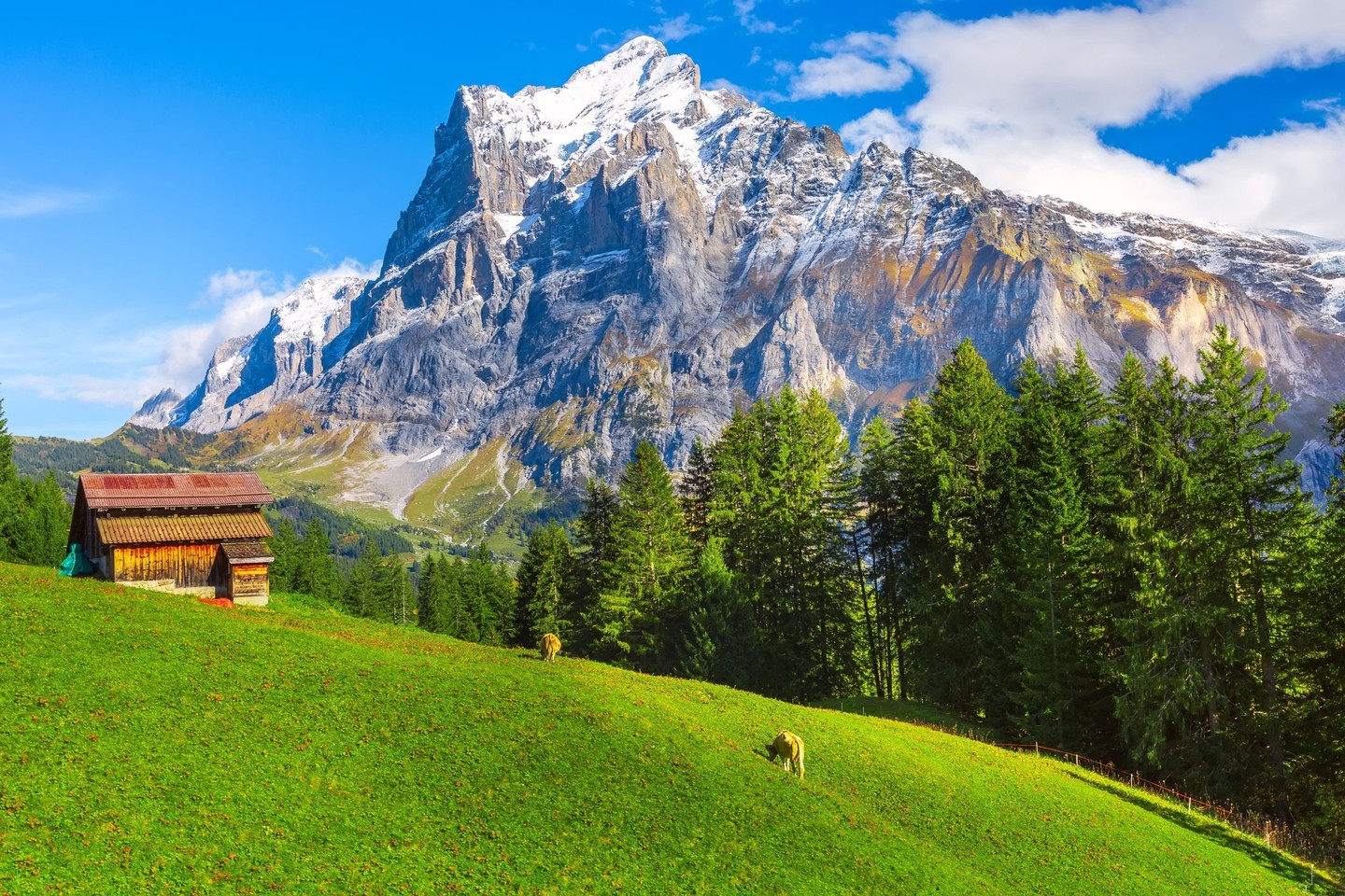 根據CCRI 的研究，Tron 是最環保的區塊鏈之一